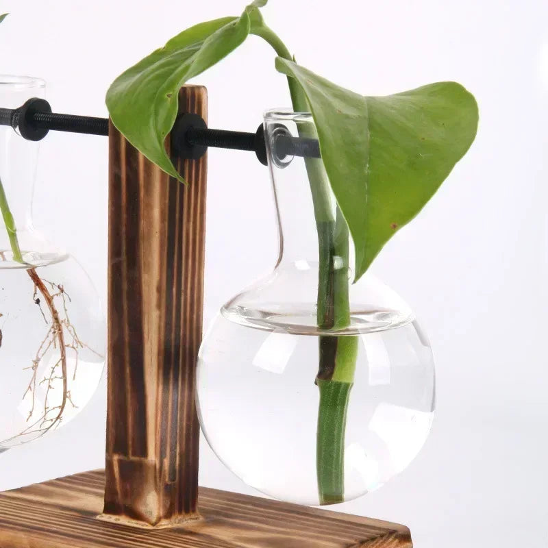 Transparent Glass Bulb Vase with Wooden Stand