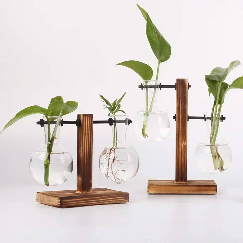 Transparent Glass Bulb Vase with Wooden Stand
