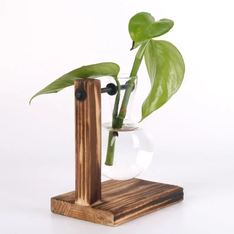 Transparent Glass Bulb Vase with Wooden Stand