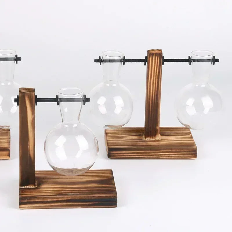 Transparent Glass Bulb Vase with Wooden Stand