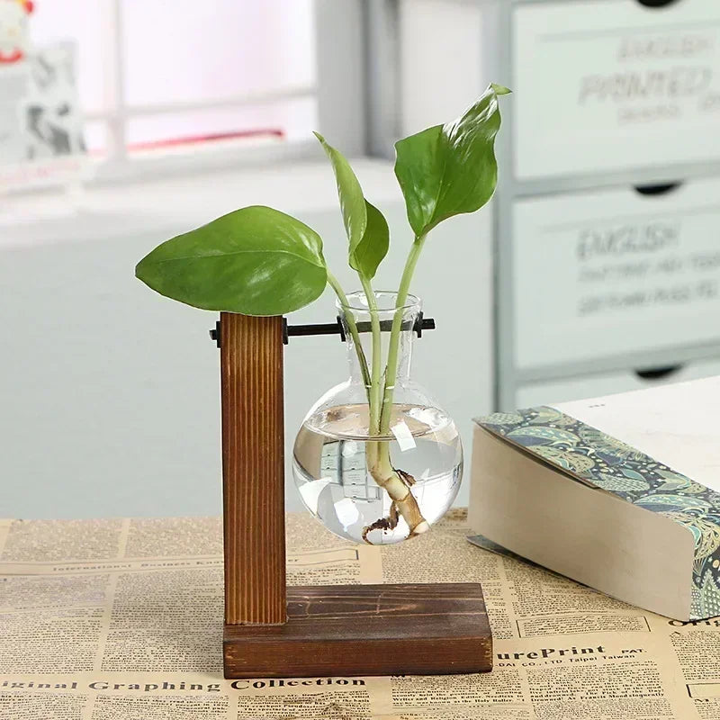 Transparent Glass Bulb Vase with Wooden Stand