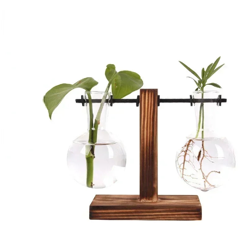 Transparent Glass Bulb Vase with Wooden Stand