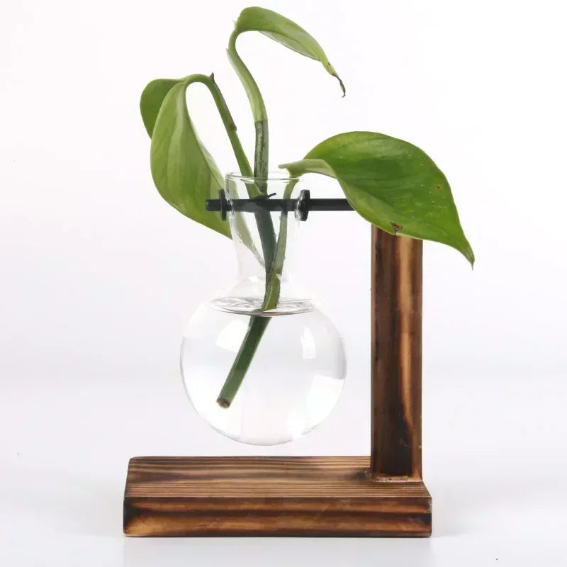 Transparent Glass Bulb Vase with Wooden Stand