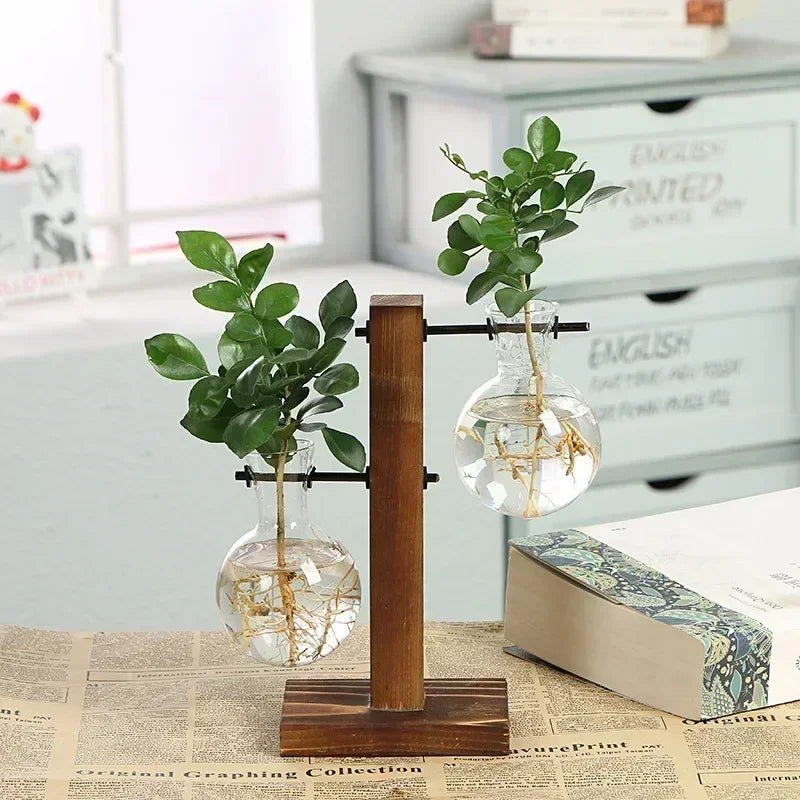 Transparent Glass Bulb Vase with Wooden Stand